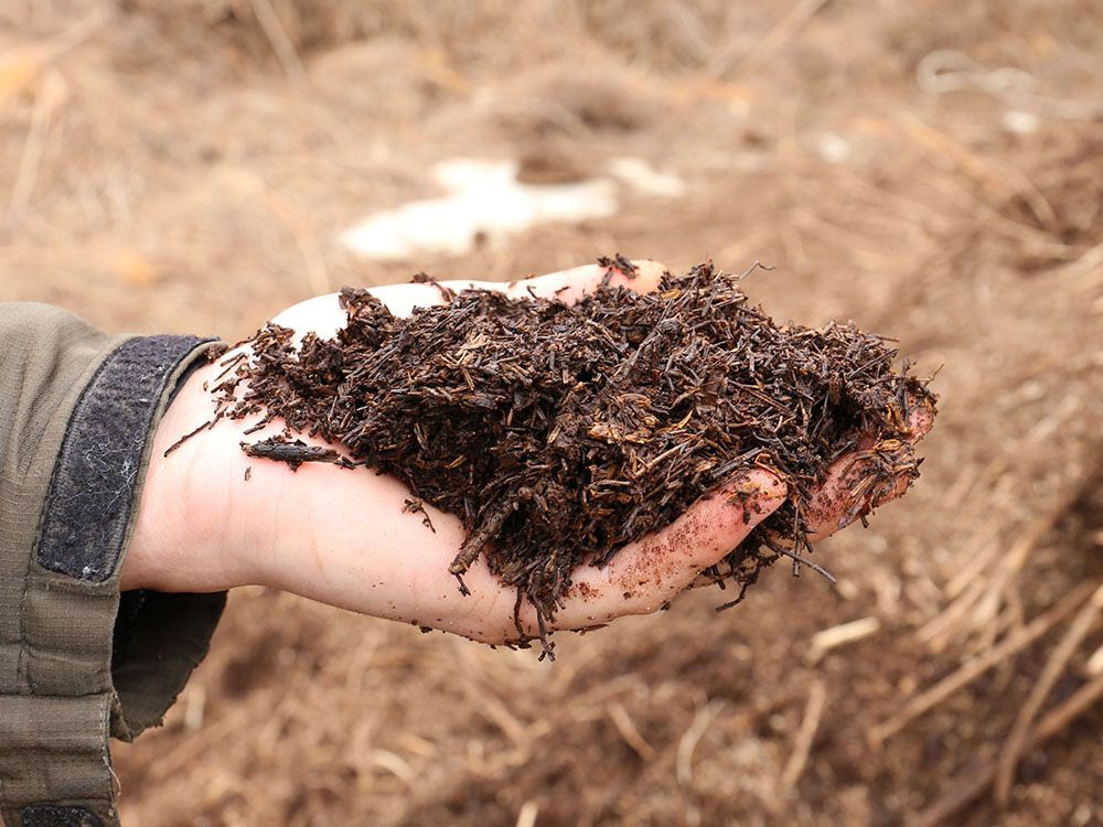 深い井戸の澄んだ水を使用した土耕栽培