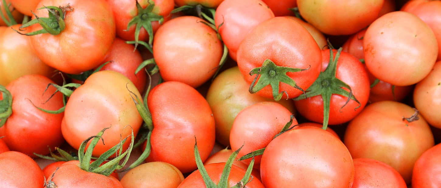 直売所・販売店紹介