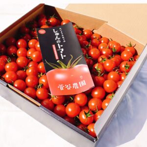 しゅんのミニトマト　ほれまる